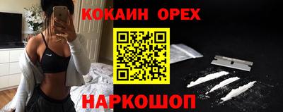 гидропоника Пенза
