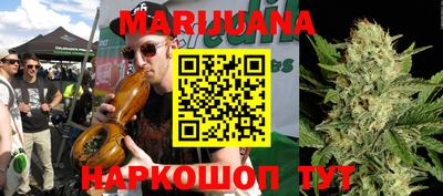 гидропоника Пенза
