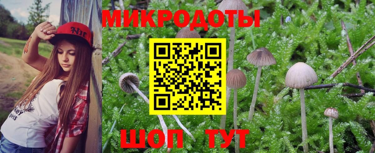Псилоцибиновые грибы прущие грибы Нижнеудинск